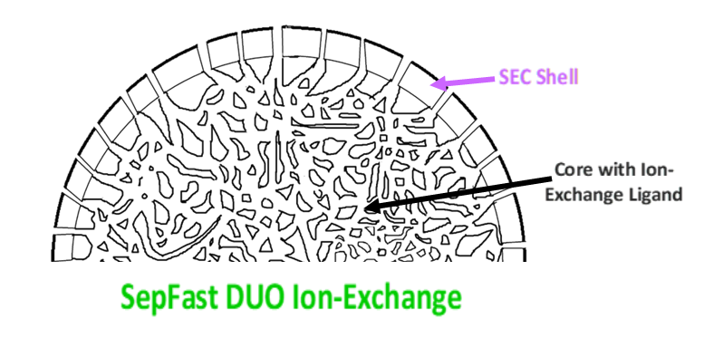 SepFast DUO Ion Exchange